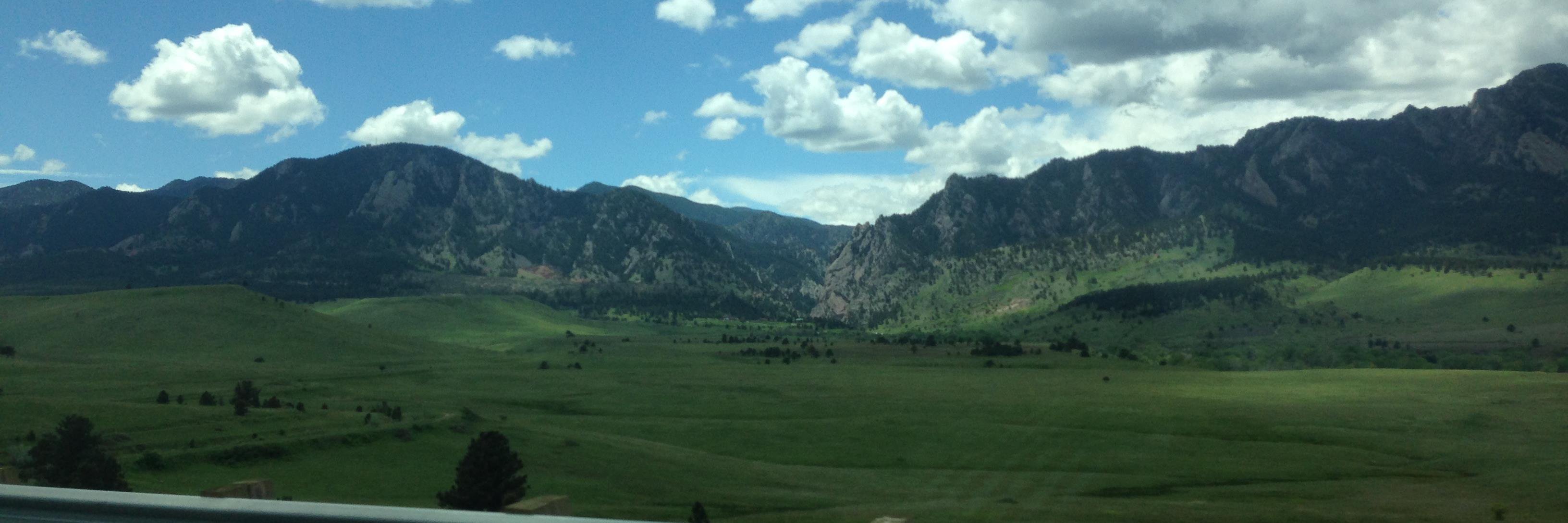 Laurel Ditson banner