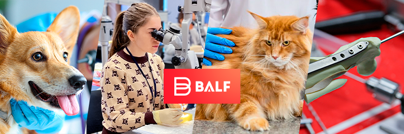 ooobalf's profile banner image