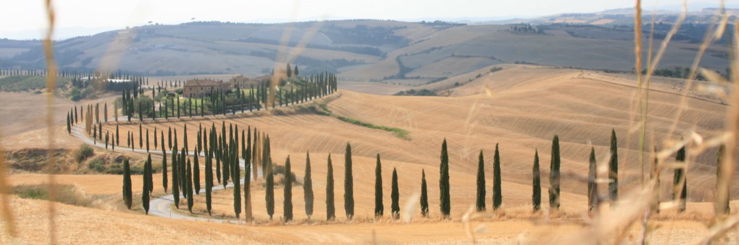 WZschaemisch's profile banner image