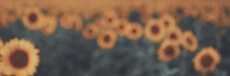 kalenaecg's profile banner image
