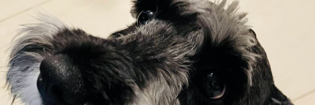 henrygcz's profile banner image