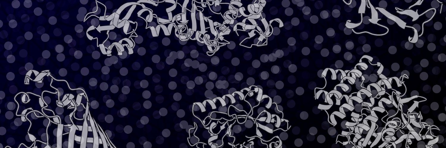 Joana Pereira's banner