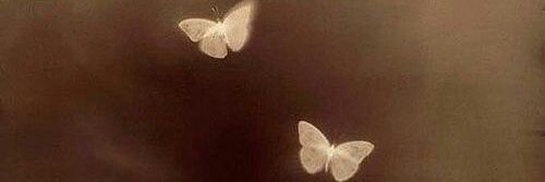 .ciel🌱🇺🇦 banner