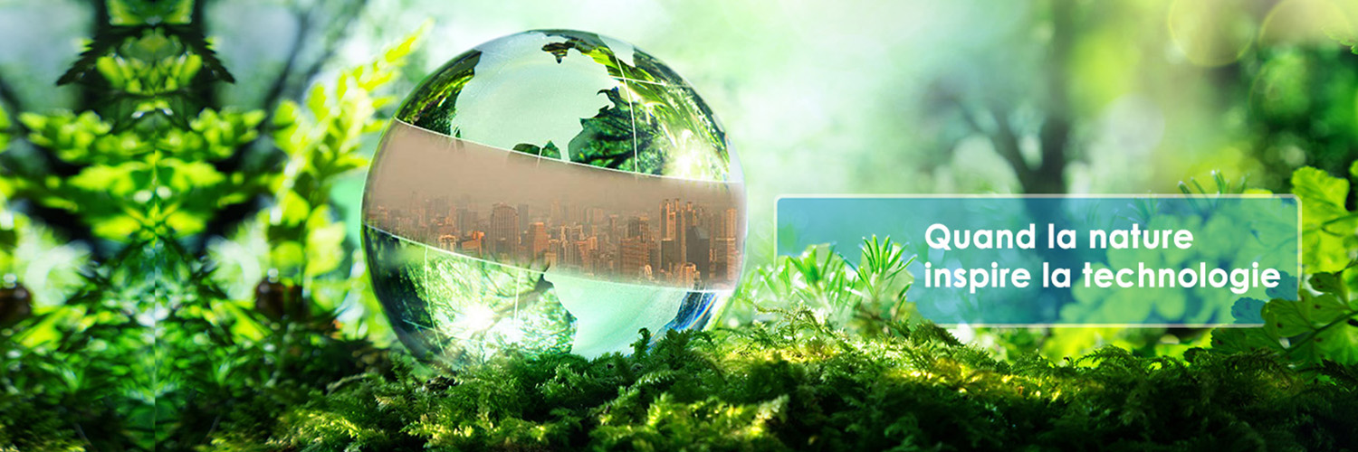 SO PURE IN THE CITY banner