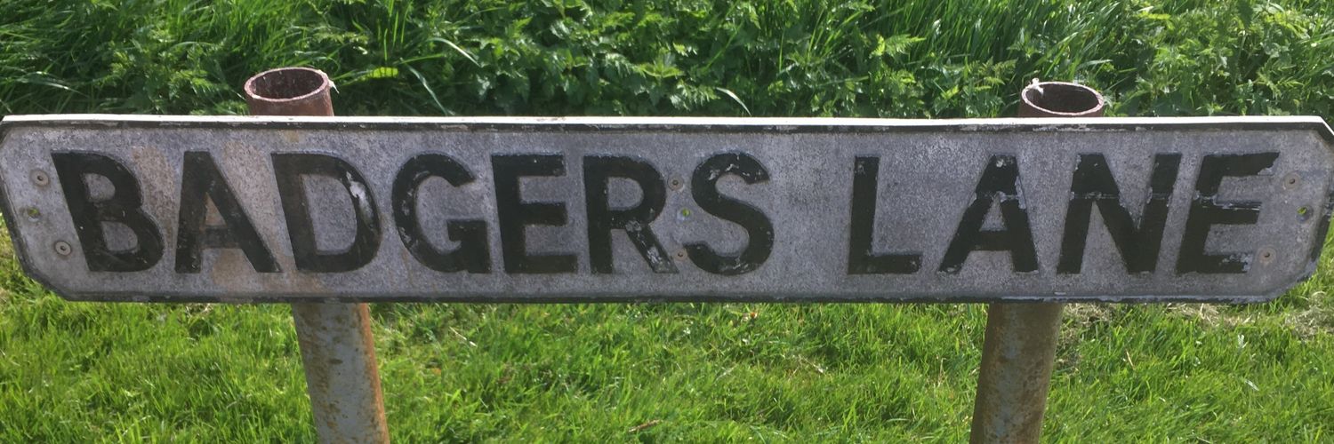 Badgir98's profile banner image