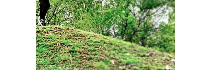 BungaSefia's profile banner image