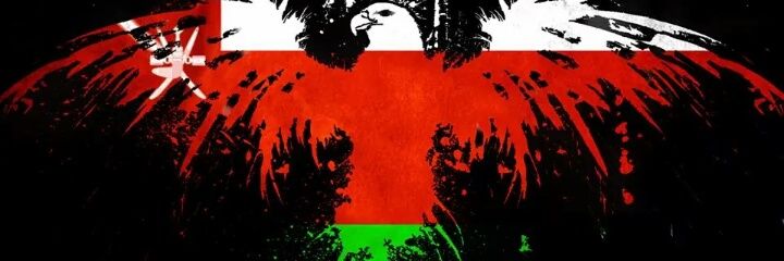 sszaamo's profile banner image