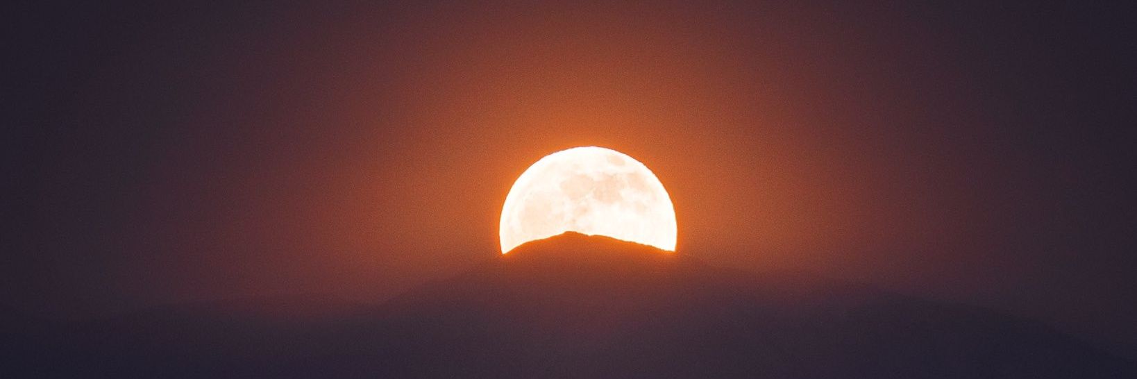 𝙊𝙭𝙮𝙙 banner