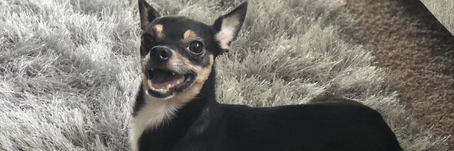 Hiss_Candy's profile banner image