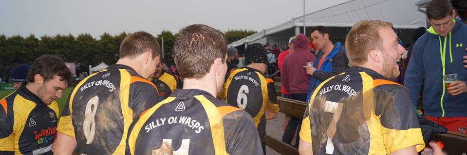 SillyOldWasps's profile banner image