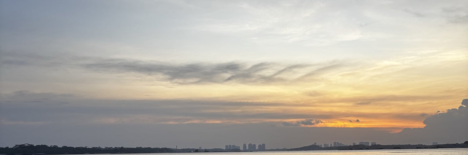 kiwikiewy's profile banner image