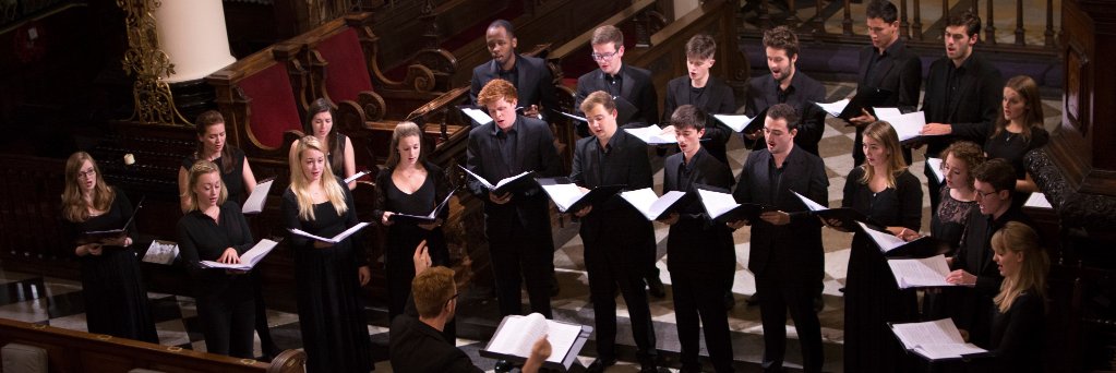 IcosaChoir's profile banner image