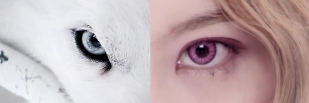 Richelle 🌺 banner