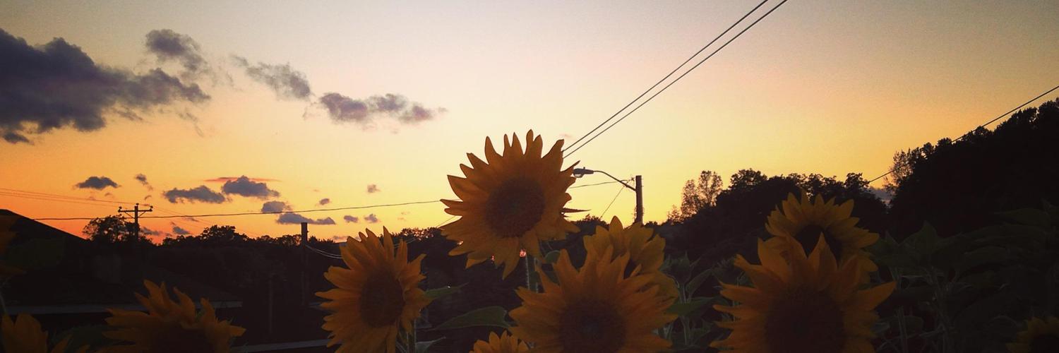 Pearisburg Market (PearisburgMkt) Twitter