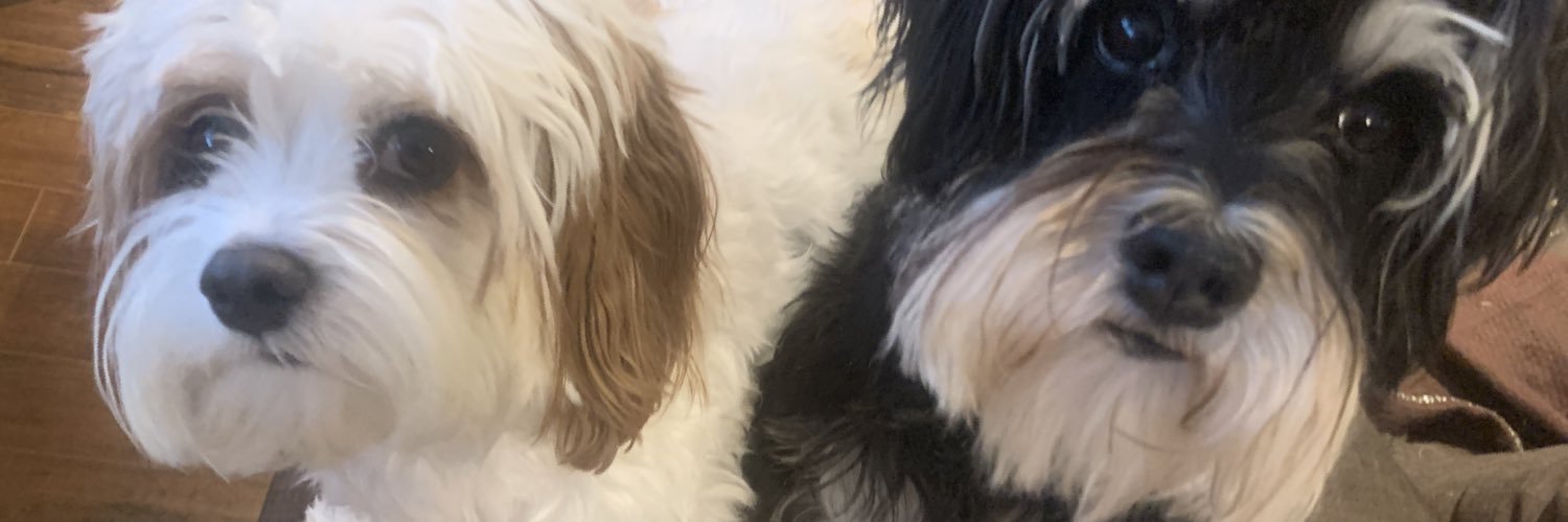 ShaunnaKelly's profile banner image