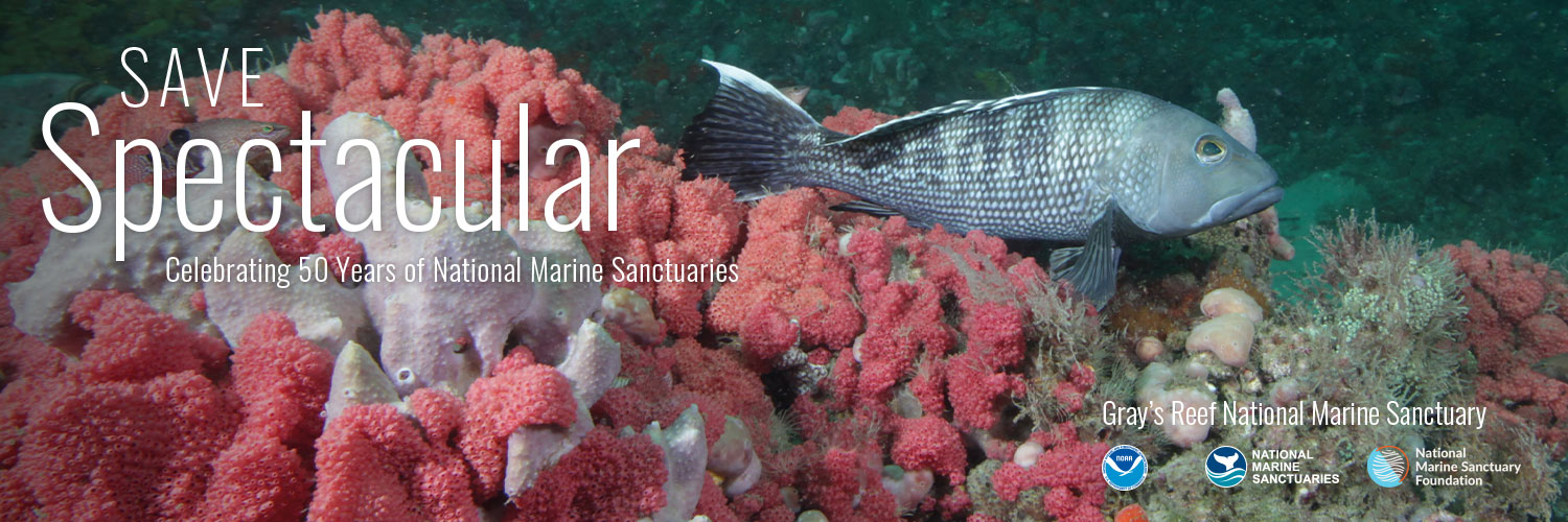 NOAA Gray's Reef NMS banner