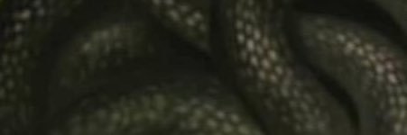 MaryDjaaa's profile banner image
