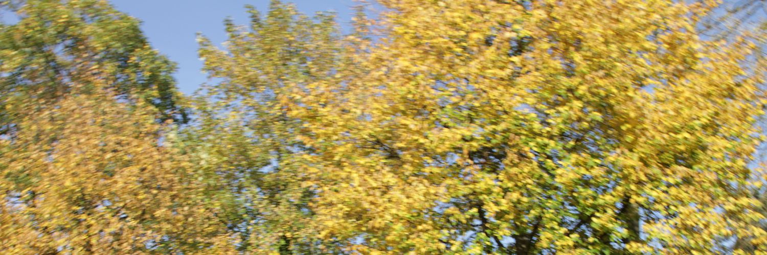 Jürgen Meister banner