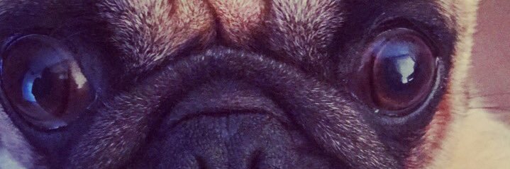 Joseph O'Brien banner