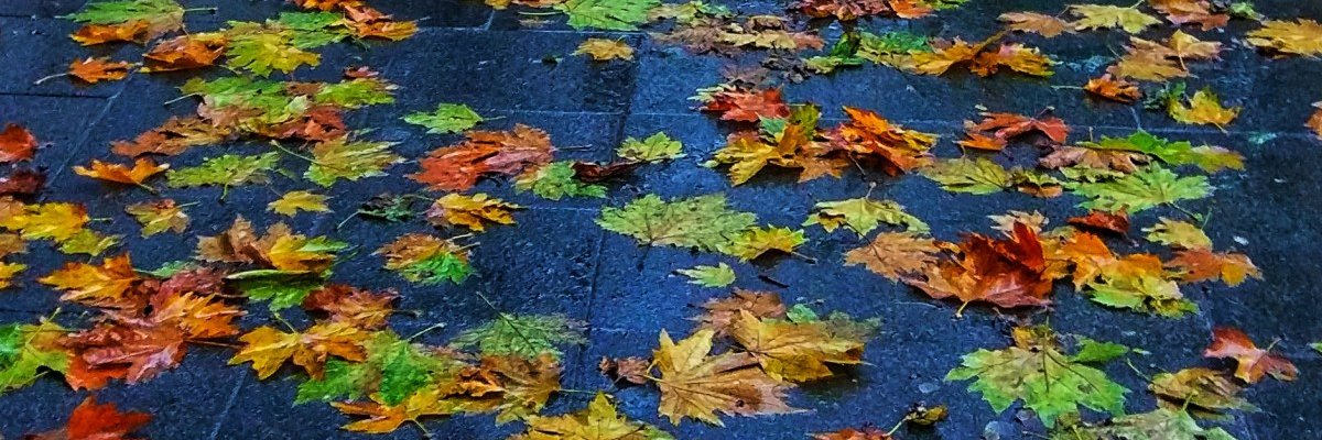 smtkara67's profile banner image
