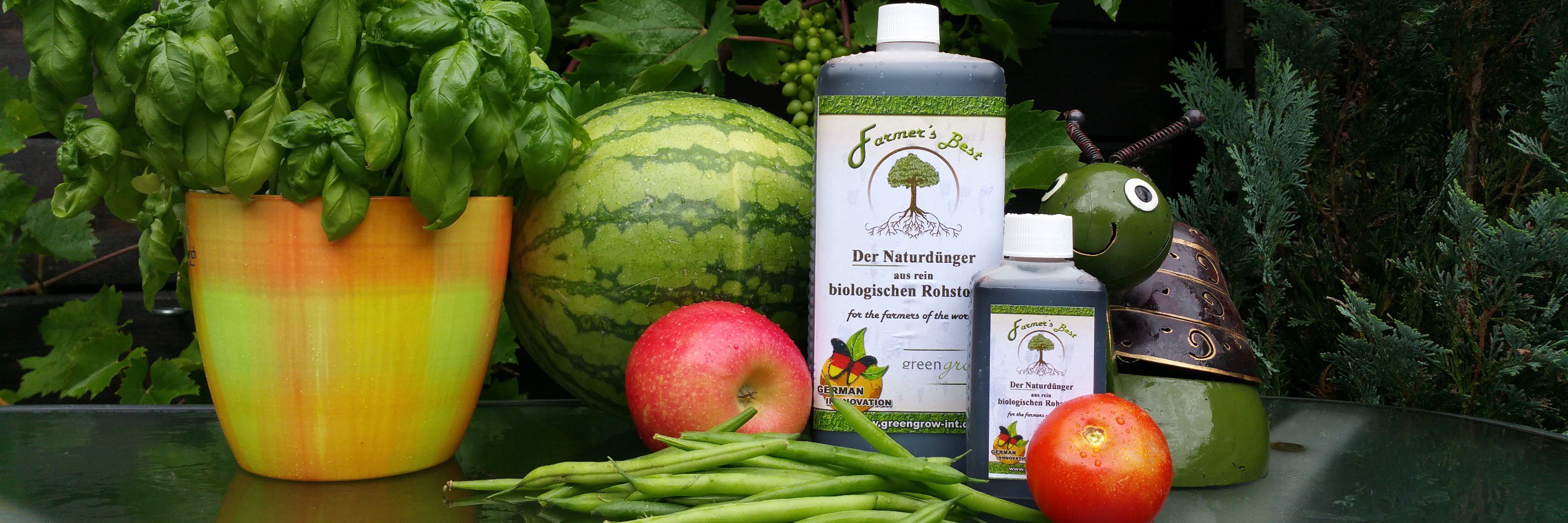 GreenGrowInt's profile banner image