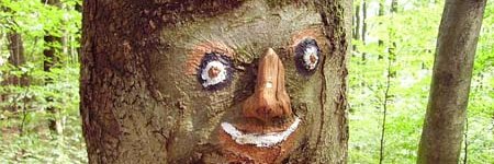PlebUsername's profile banner image