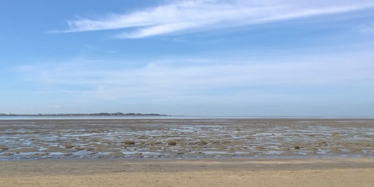 Nicolas Pouchain banner