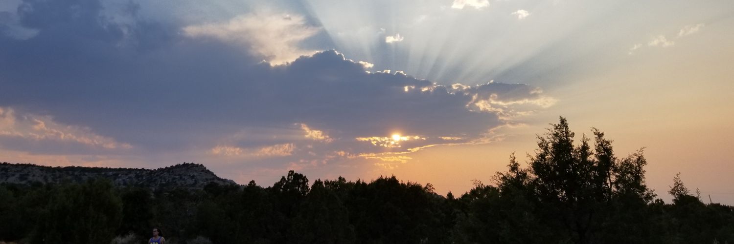 ArielCWard's profile banner image