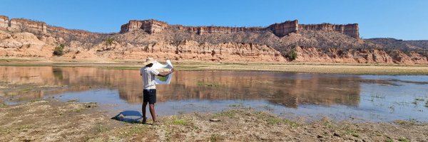 beshine_bitso Profile Banner