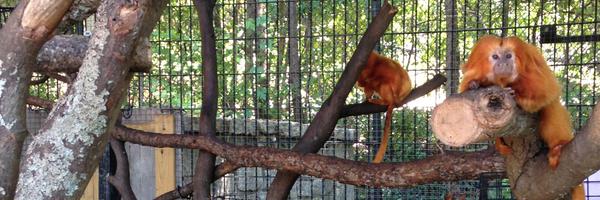 brettmfrye Profile Banner