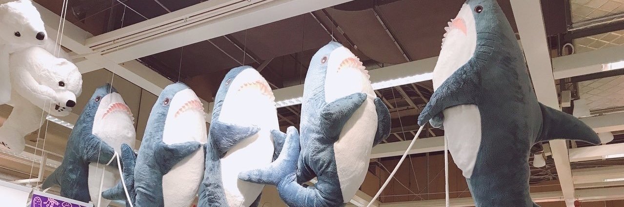 serfangcal's profile banner image