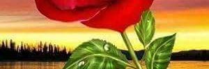 SNOOZYfresh's profile banner image