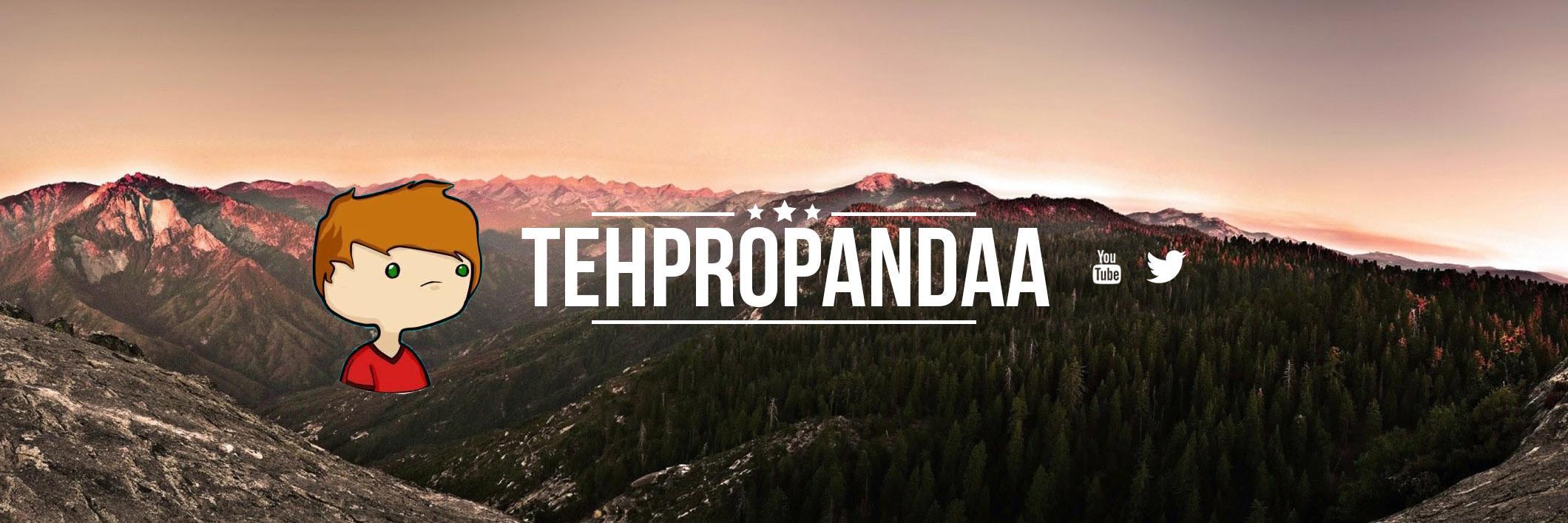 TehProPandaa's profile banner image