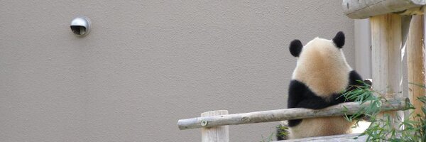 takezohdiary's profile banner image