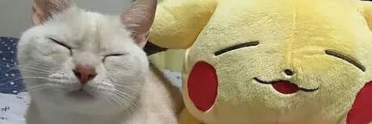_Elbarto_3000_'s profile banner image