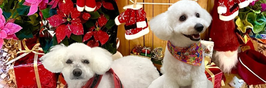 梅@ホビラン34（卓番 I-02） banner