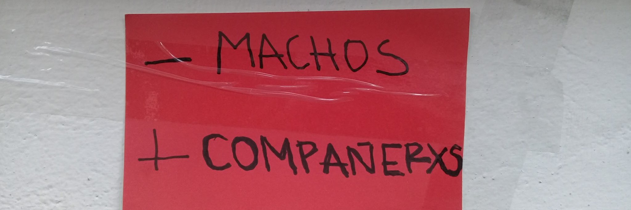 Dani banner