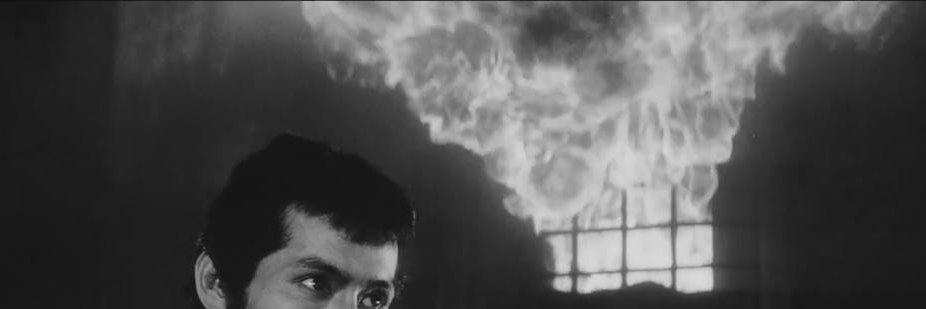 Mister Freakign Crow 😎 🤙 Baby banner