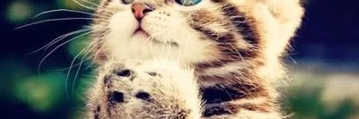 Mariella Solares banner