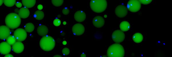 CleeteRichter Profile Banner