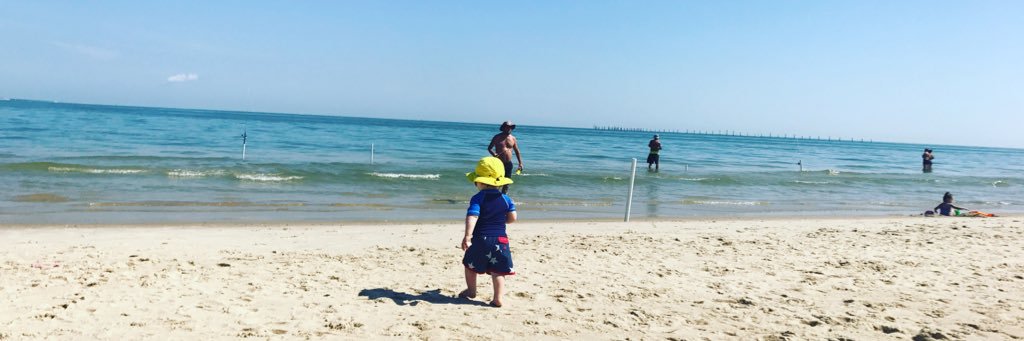 Meredith Miller banner