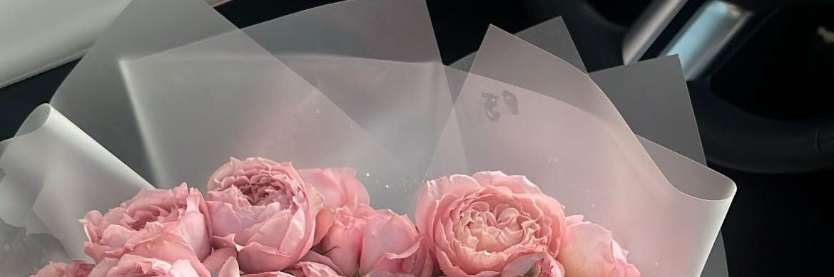 ardientelaisa's profile banner image