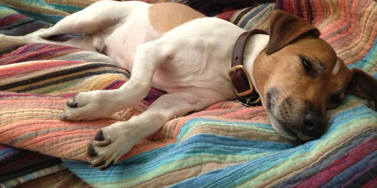 Matt McCulley banner