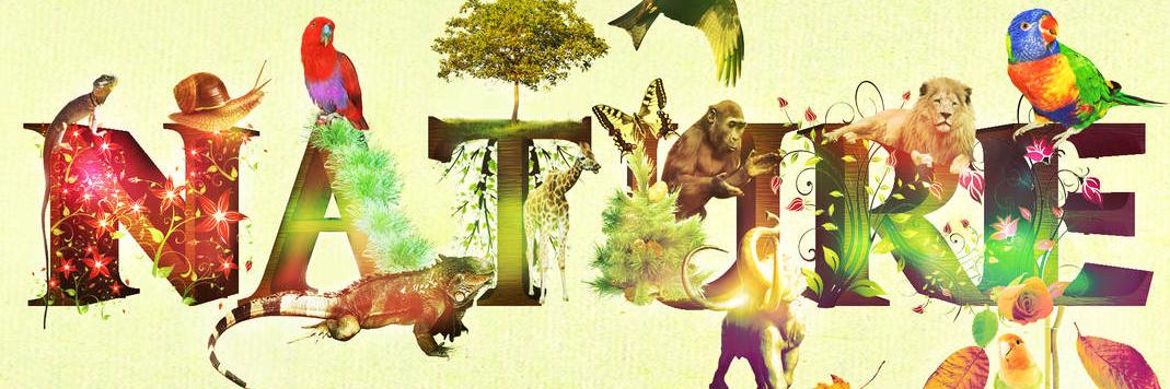 devaridu's profile banner image
