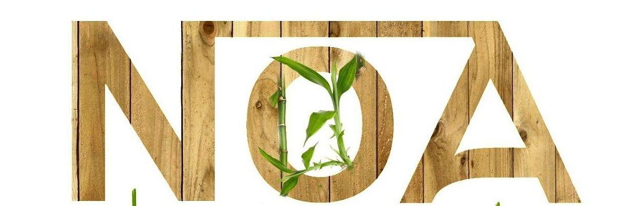 noa_disco's profile banner image