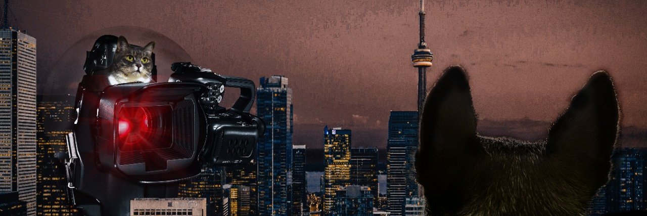 BasherOuO's profile banner image