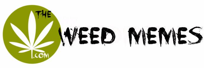 theWeedMemes's profile banner image