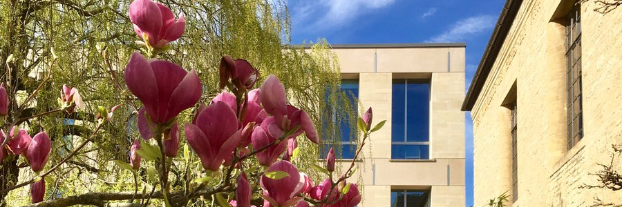 Centre for Personalised Medicine, Oxford (+ bsky)'s banner