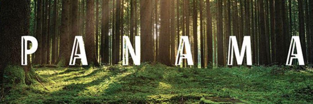 Charliewao's profile banner image