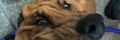 AntonsMcAntons's profile banner image